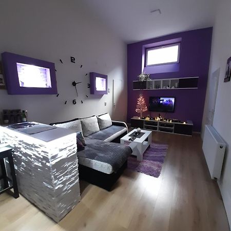Apartman Lela Vrsac Eksteriør bilde