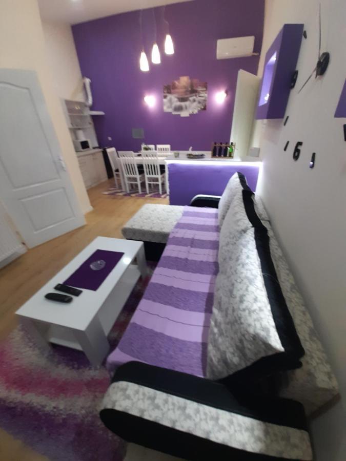 Apartman Lela Vrsac Eksteriør bilde