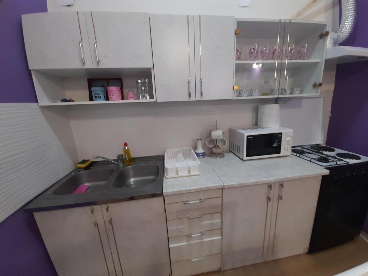 Apartman Lela Vrsac Eksteriør bilde