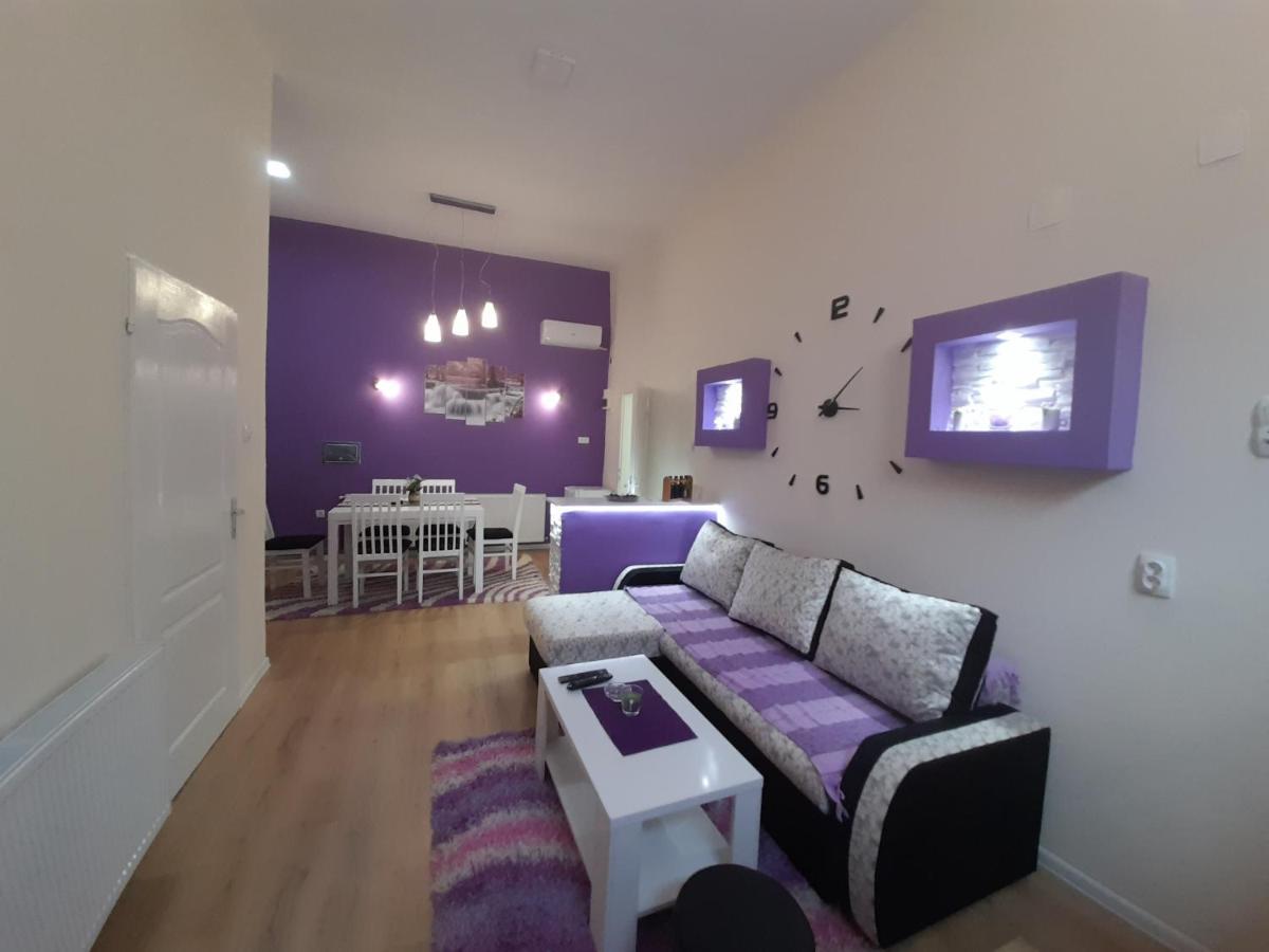 Apartman Lela Vrsac Eksteriør bilde