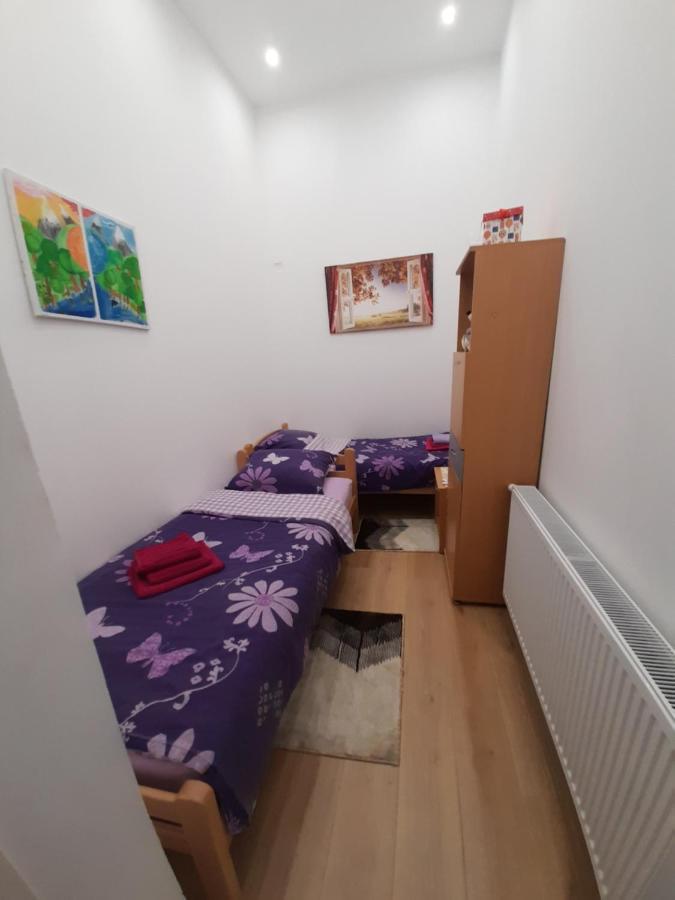 Apartman Lela Vrsac Eksteriør bilde