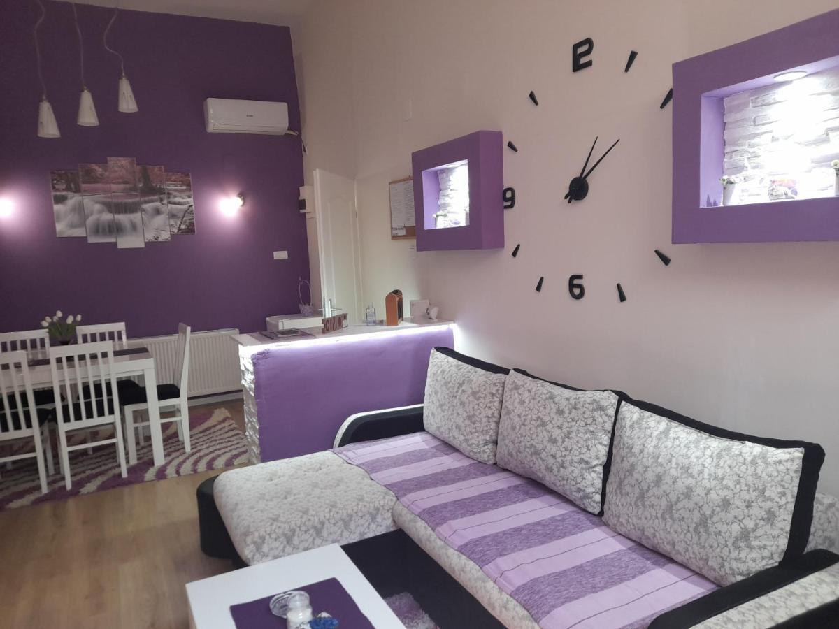 Apartman Lela Vrsac Eksteriør bilde