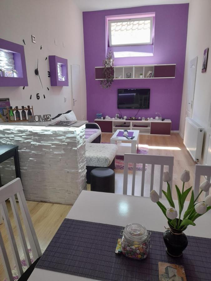 Apartman Lela Vrsac Eksteriør bilde