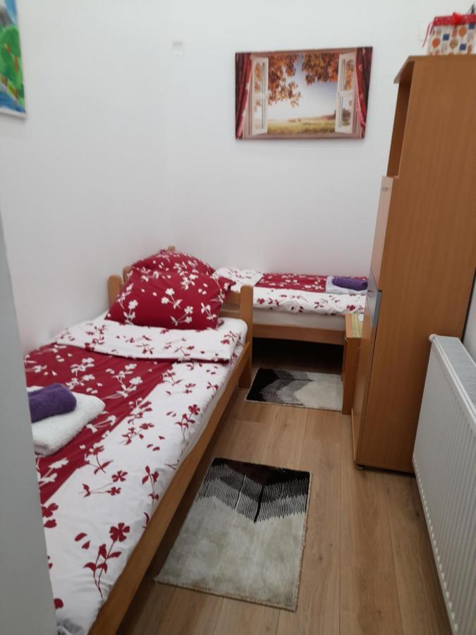 Apartman Lela Vrsac Eksteriør bilde