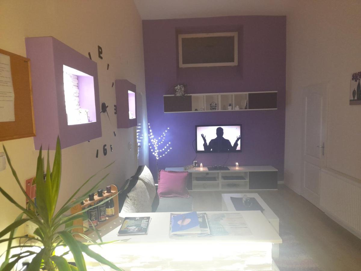 Apartman Lela Vrsac Eksteriør bilde