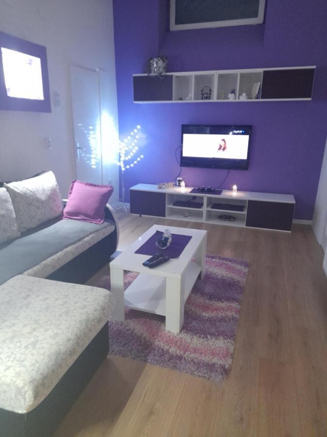 Apartman Lela Vrsac Eksteriør bilde