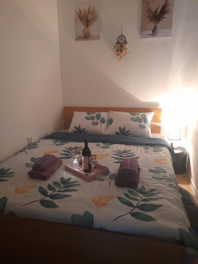 Apartman Lela Vrsac Eksteriør bilde
