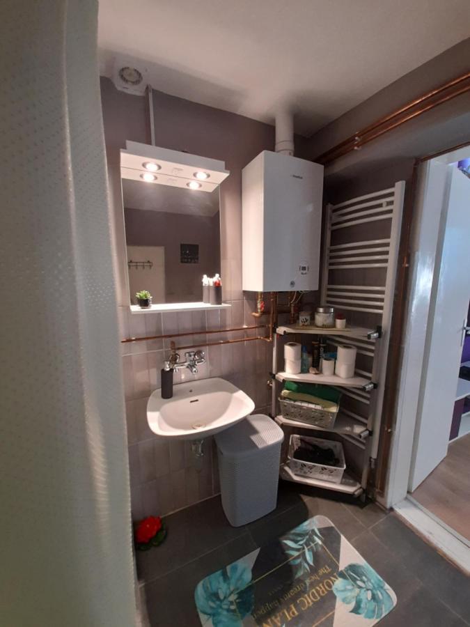 Apartman Lela Vrsac Eksteriør bilde