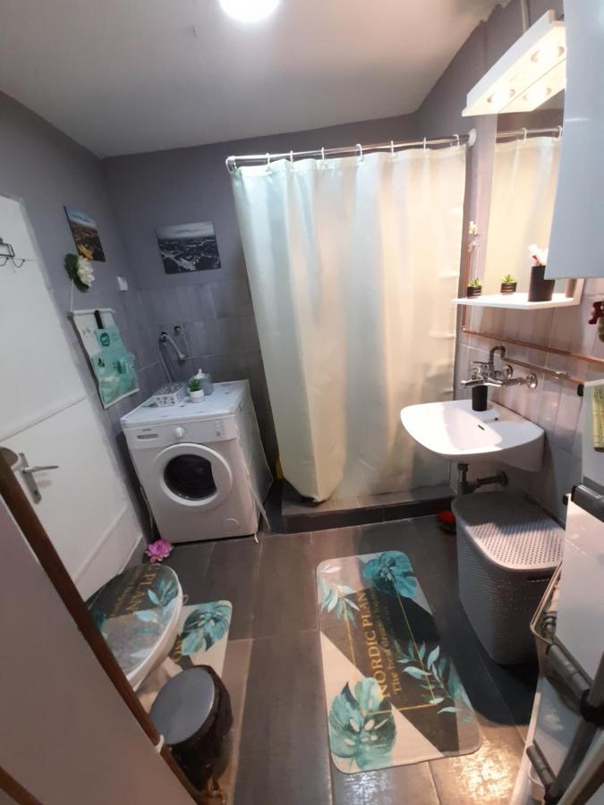 Apartman Lela Vrsac Eksteriør bilde