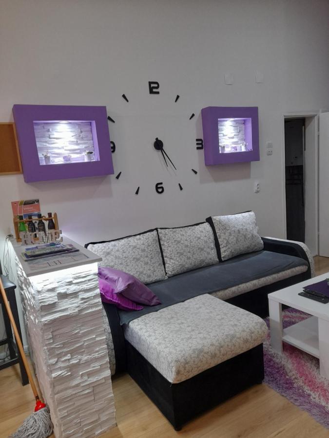 Apartman Lela Vrsac Eksteriør bilde