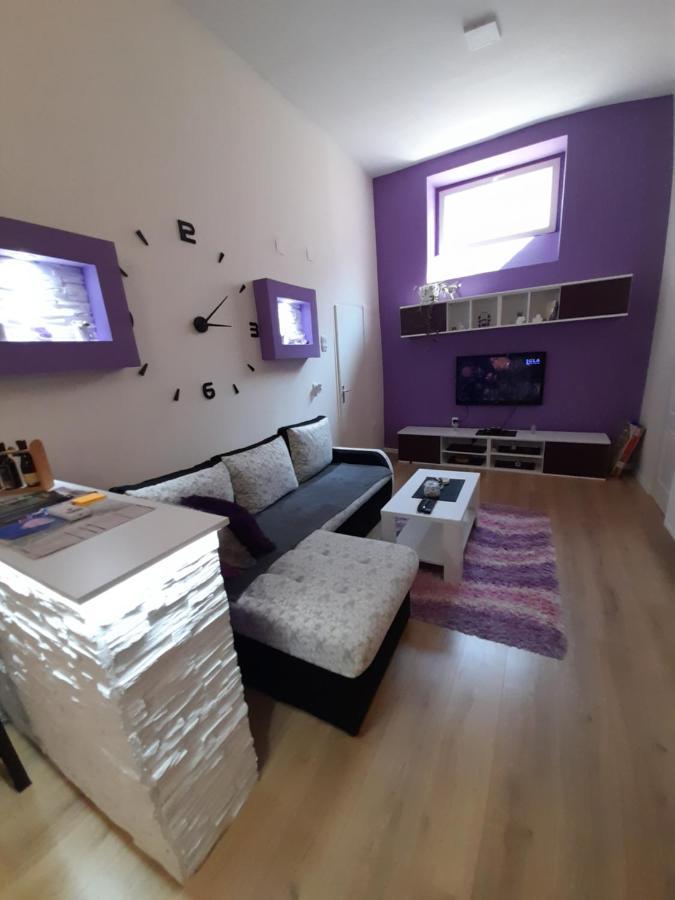 Apartman Lela Vrsac Eksteriør bilde
