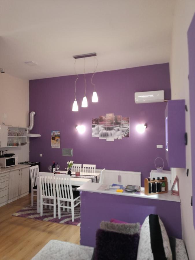 Apartman Lela Vrsac Eksteriør bilde