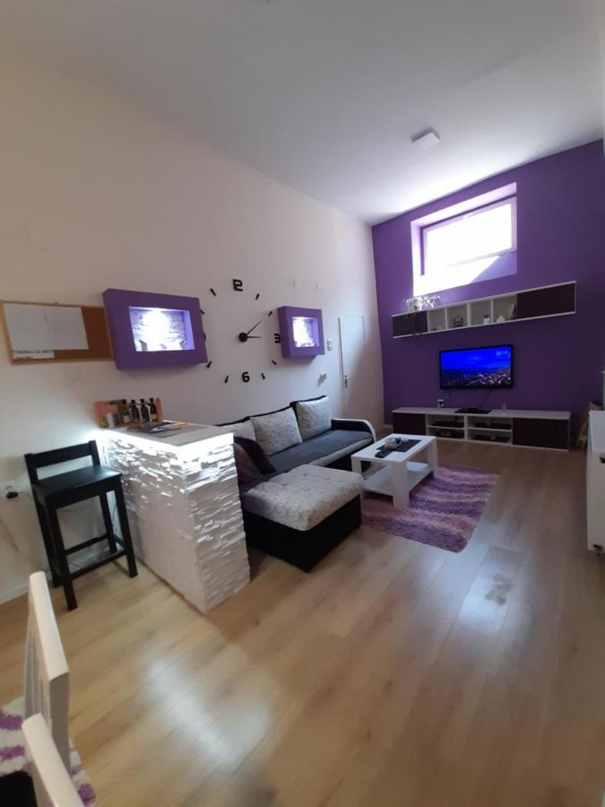 Apartman Lela Vrsac Eksteriør bilde