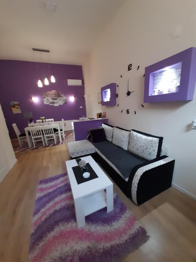 Apartman Lela Vrsac Eksteriør bilde