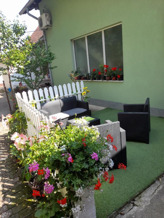 Apartman Lela Vrsac Eksteriør bilde